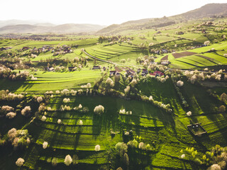 Spring landscape in Slovakia. Polana region, Hrinova. Green spring rural hills landscape, fields, flowering trees, organic farming © Zedspider