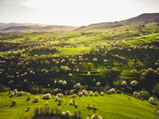 Spring landscape in Slovakia. Polana region, Hrinova. Green spring rural hills landscape, fields, flowering trees, organic farming © Zedspider