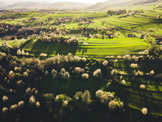Spring landscape in Slovakia. Polana region, Hrinova. Green spring rural hills landscape, fields, flowering trees, organic farming © Zedspider