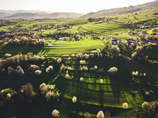 Spring landscape in Slovakia. Polana region, Hrinova. Green spring rural hills landscape, fields, flowering trees, organic farming © Zedspider