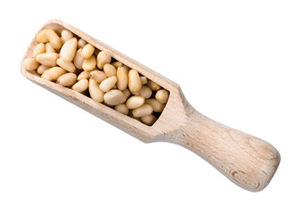 top view of peeled pine nuts in wood scoop cutout