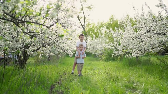 two little boys on the lawn among the flowering trees. life in the countryside. 