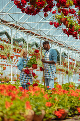 Gardeners working in a greenhouse