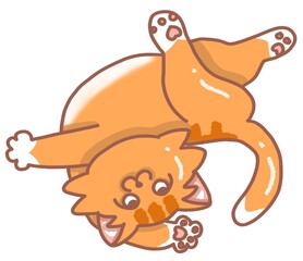 Stretching  Cat