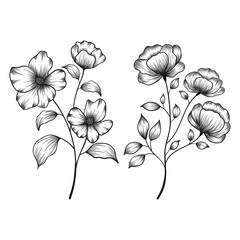 Hand drawn floral botanical wild flowers sketched pen and ink vector illustration.