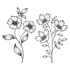 Hand drawn floral botanical wild flowers sketched pen and ink vector illustration.