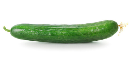 single long raw cucumber isolated on white background