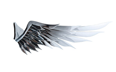 Beautiful mirror angel wing isolated and clipping path