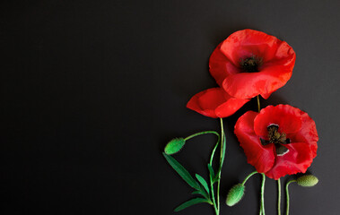 Red poppies on a black background. Postcard in the style of minimalism, place for text, close-up