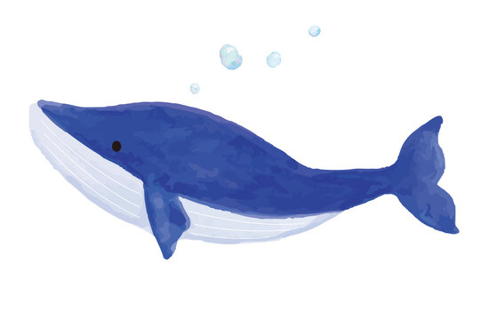 クジラの水彩イラスト