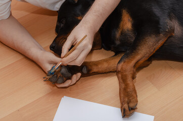 A man and his dog are lying on the floor of the living room. A h