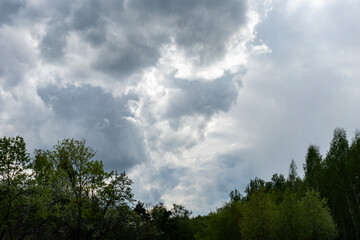 Forest against the background of large thundercloud