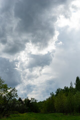 Forest against the background of large thundercloud