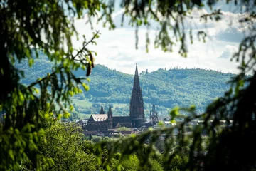 Fotobehang View towards Minster of Freiburg © Andreas Nägeli