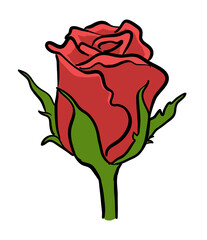 Red rose