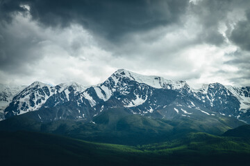 Dramatic mountains landscape with big snowy mountain ridge above sunlit forest in overcast weather. Atmospheric highland scenery with high mountain range under lead gray clouds and sunlight on forest.