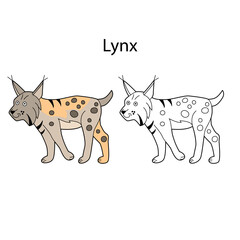 Funny cute animal lynx isolated on white background. Linear, contour, black and white and colored version. Illustration can be used for coloring book and pictures for children