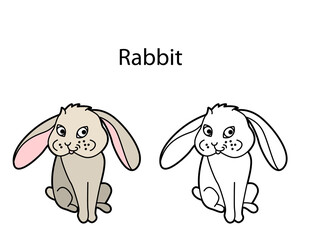 Funny cute animal rabbit isolated on white background. Linear, contour, black and white and colored version. Illustration can be used for coloring book and pictures for children