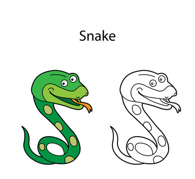 Funny cute animal snake isolated on white background. Linear, contour, black and white and colored version. Illustration can be used for coloring book and pictures for children