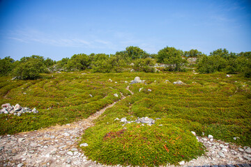 Fototapeta na wymiar ancient labyrinths on Zayachy Island on Solovki arkhangelsk region white Sea russia