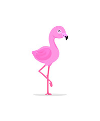 Cartoon flamingo on white background, Pink flamingo vector illustration isolated on white background.
