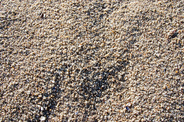 Image of the surface of the sand after rain has porous rain marks