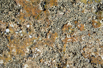 Seamless rock texture background closeup

