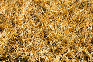 Hay bales are stacked in large stacks. Harvesting in agriculture Hay texture.
