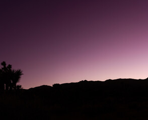 Medium shot of silhuette of horizon aganst colored violet, purple night sky in joshua tree national park in america