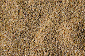 Image of the surface of the sand after rain has porous rain marks
