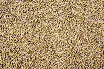 Image of the surface of the sand after rain has porous rain marks
