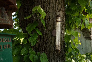 Outdoor agricultural thermometer