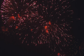 Fototapeta premium Fireworks light up the sky with dazzling display