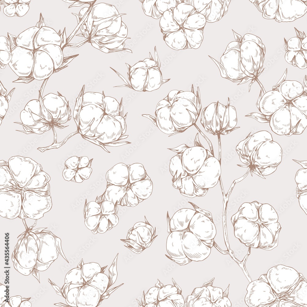 Poster Seamless botanical pattern with outlined soft fluffy cotton flower branches. Design of endless repeatable natural background in vintage style. Detailed hand-drawn vector illustration for printing