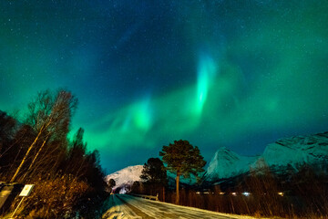 wundervolle Nordlichter in Troms in den Lyngenalps. begeisterndes Lichtspiel am nächtlichen Himmel, tanzende Lady, überwältigende Aurora Borealis bei Tromsö
