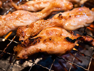 ロースターで焼くジューシーな鶏肉【せせり】  © nozomin