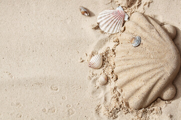 the seashell is made of sand
