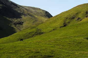 Fototapeta premium landscape with sky