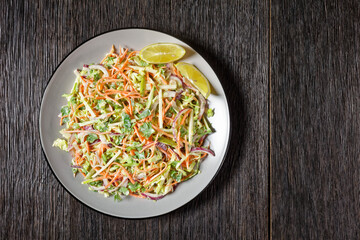 juicy low calorie coleslaw salad, top view
