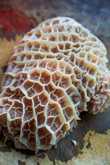 Closeup of raw beef tripe on cutting board