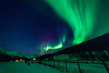 wundervolle Nordlichter in Troms in den Lyngenalps. begeisterndes Lichtspiel am nächtlichen Himmel, jubelnde Menschen. Aurora Borealis bei Tromsö