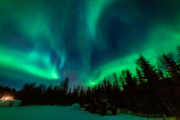 wundervolle Nordlichter in Troms in den Lyngenalps. begeisterndes Lichtspiel am nächtlichen Himmel, tanzende Lady, überwältigende Aurora Borealis bei Tromsö
