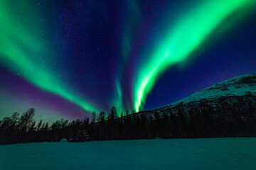 wundervolle Nordlichter in Troms in den Lyngenalps. begeisterndes Lichtspiel am nächtlichen...