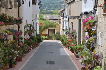 An alley with many flowers in the village Lliber-Spain.