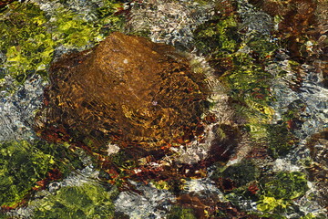 Kamienia pod czystą wodą z falą