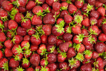 Strawberry red berries background top view