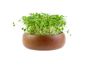 Microgreen sprouts, arugula shoots in wooden bowl isolated on white background