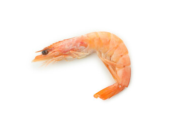 Tasty cooked shrimp isolated on white background