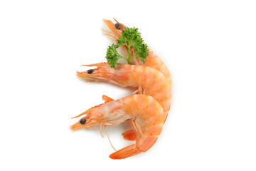 Tasty cooked shrimps isolated on white background