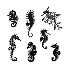 Set cute seahorses icons. Black seahorses with different silhouette on white background. For festive card, logo, children, pattern, tattoo, decorative, creative concept. Vector illustration - obrazy, fototapety, plakaty